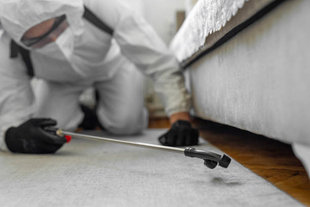 Professional Bed Bug Control technician working in Woodbine, GA