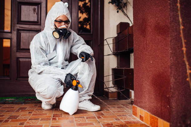 Reliable Bed Bug Control contractor in Woodbine, GA by Nex Pest Control