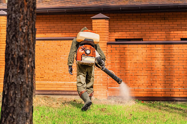 Trusted Bed Bug Control service in Woodbine, GA - Nex Pest Control